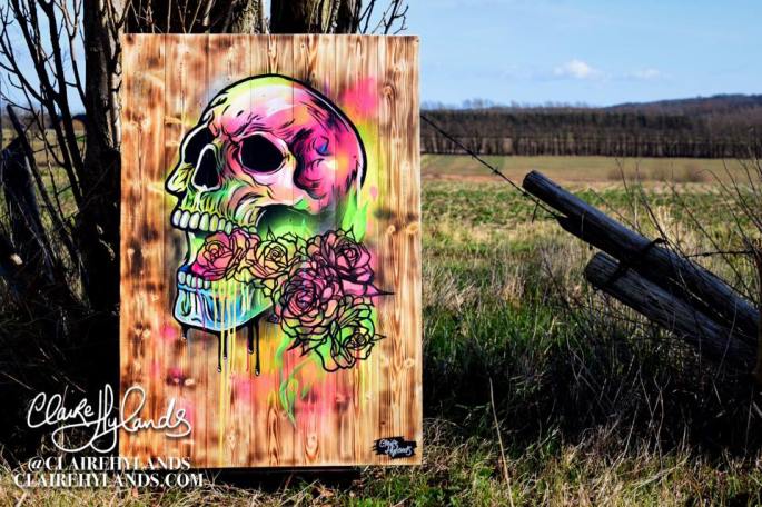 28166746_1800502266628742_3813468694626493499_n